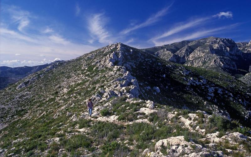 Muntanya de les Terres de Mestral