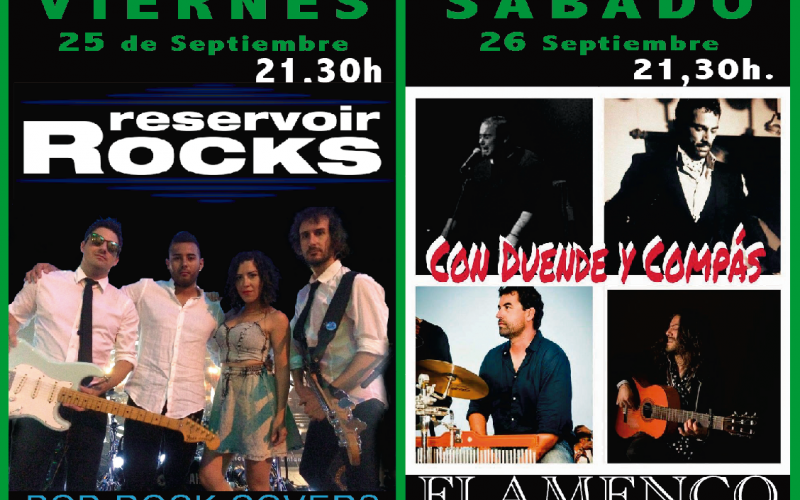 POP rock covers and flamenco