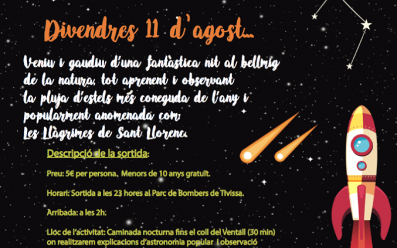 Pluja d'estels dels Perseids lluvia de estrellas Tivissa Tivissarocks