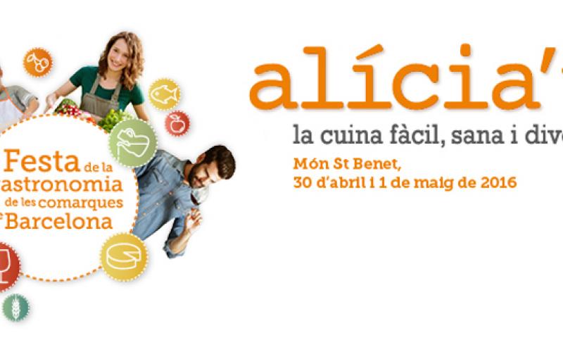 Festa Alícia't 2016 Fundació Alícia