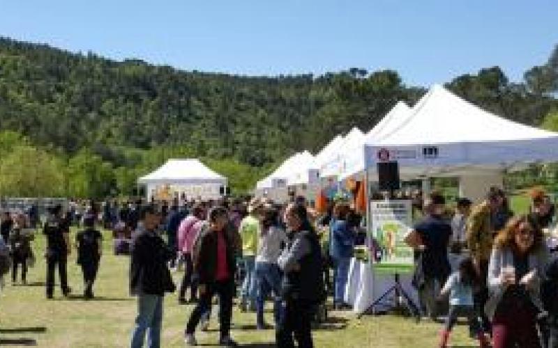 Fundació alicia alicia't mòn sant benet 