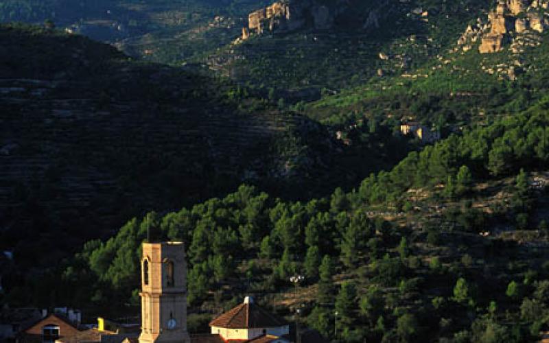 Vandellòs Terres de Mestral