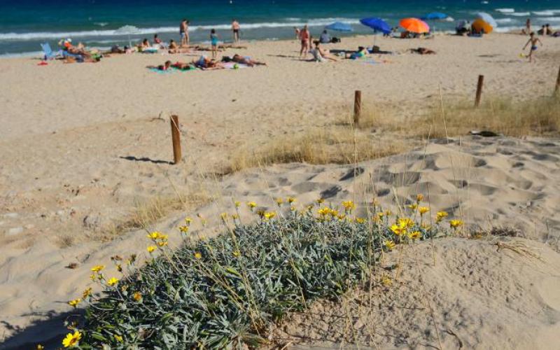 Platja de l'Almadrava a Vandellòs i L'Hospitalet de l'Infant, una de les 10 millors platges del Camp de Terragona, segons surtdecasa.cat