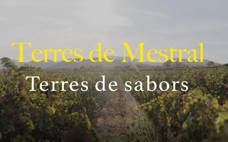 Terres de Mestral, terres de sabors Terres de Mestral, terres de sabors