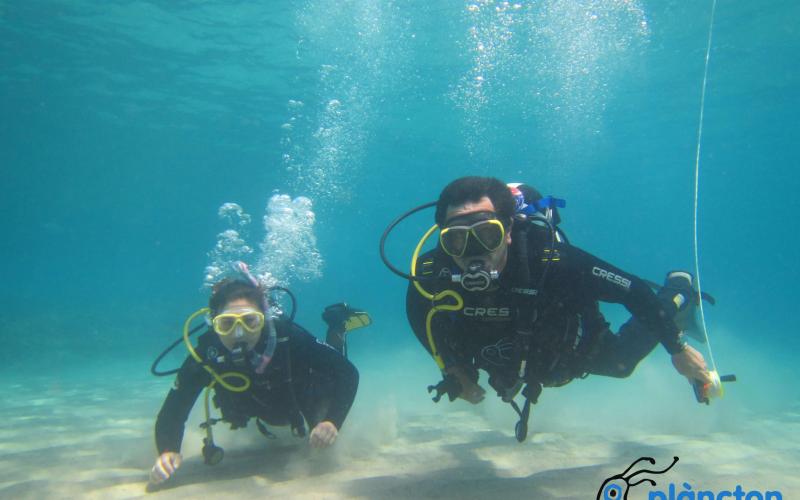 Discover scuba diving