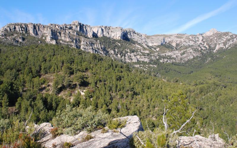 Tomb de la Carabassa