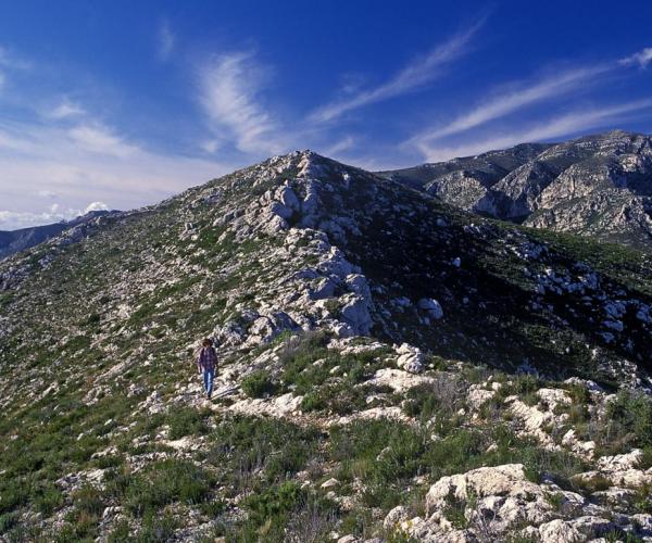 Muntanya de les Terres de Mestral