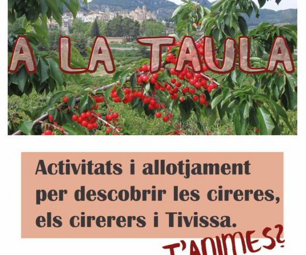 cirera cereza degustació degustación cherry Del camp a la taula a Tivissa