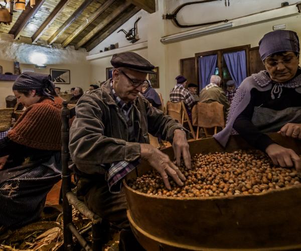 22a edició Pessebre dels Estels, Castelló Pessebre vivent