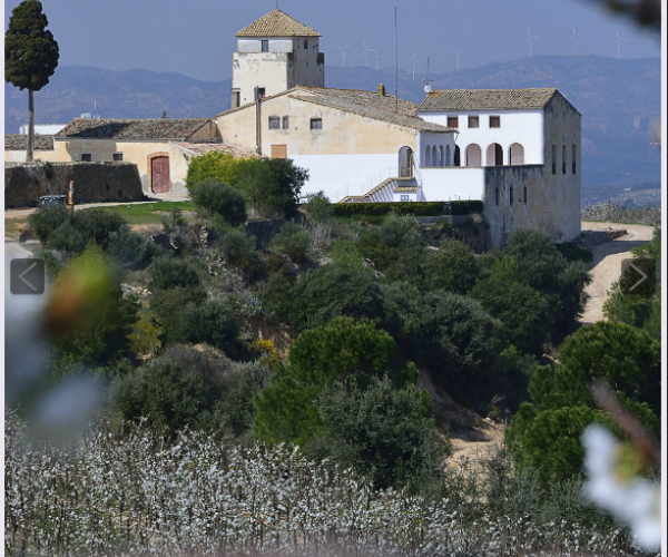 Finca Mas d'Alerany 