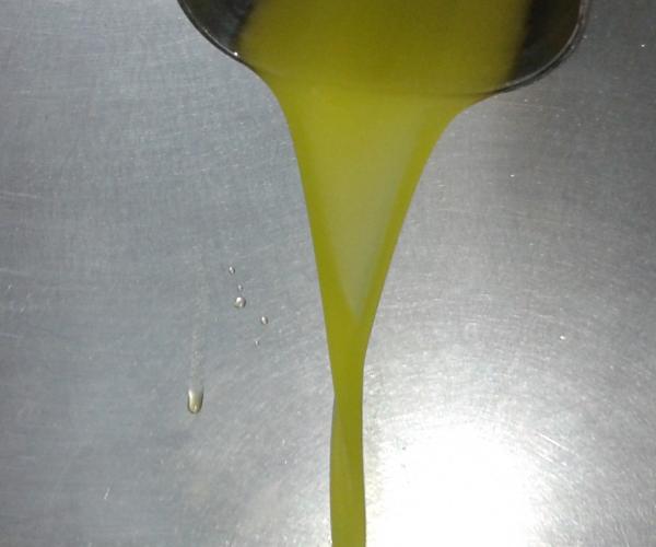El primer raig d'oli