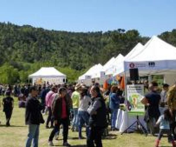 Fundació alicia alicia't mòn sant benet 