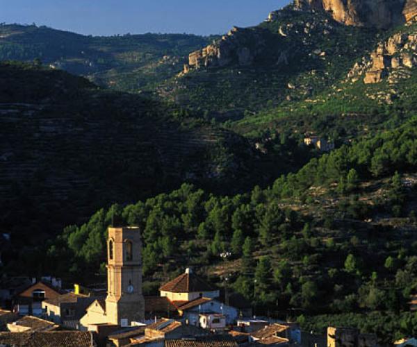 Vandellòs Terres de Mestral