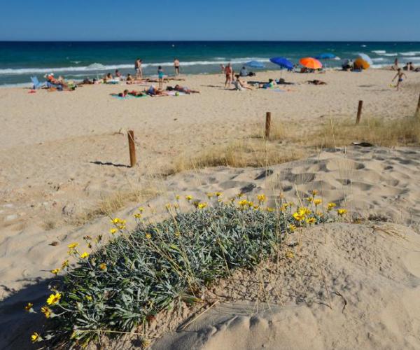 Platja de l'Almadrava a Vandellòs i L'Hospitalet de l'Infant, una de les 10 millors platges del Camp de Terragona, segons surtdecasa.cat