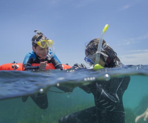 Snorkel Experience In family or friends activity nautical