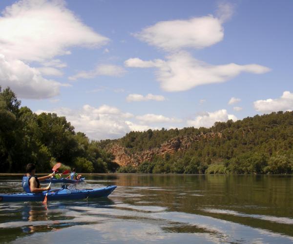 Birdwatching en kayak  Observará pájaros mientras remeu por el río Ebro