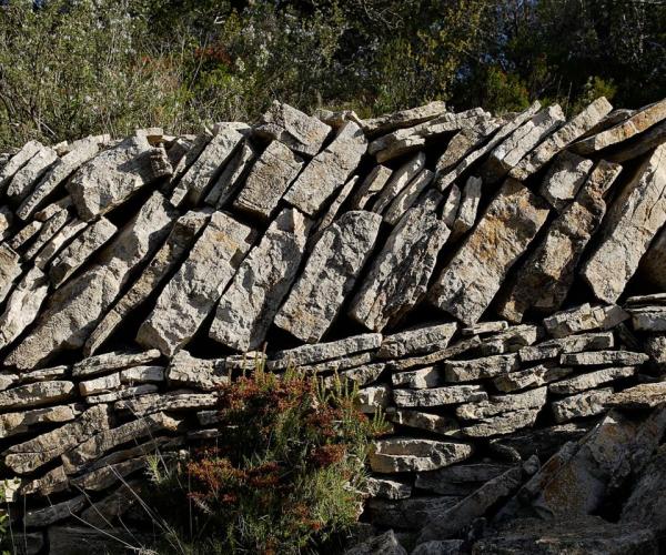 Caminada a les Moles per Natocs i la Roca Rodona