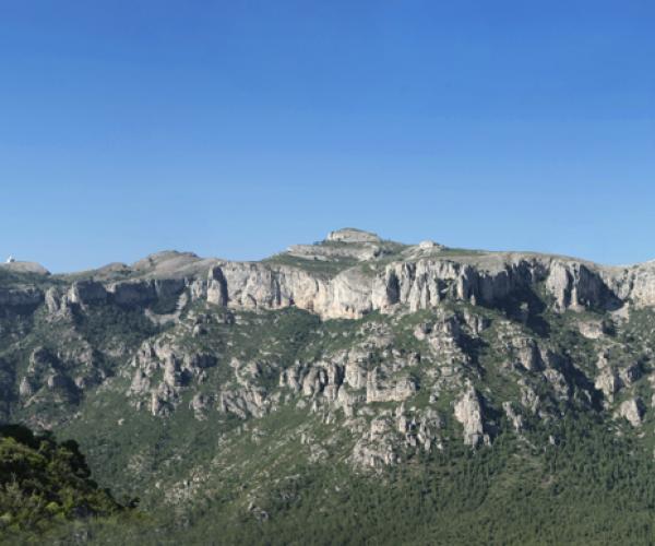 Tomb de la Dòvia