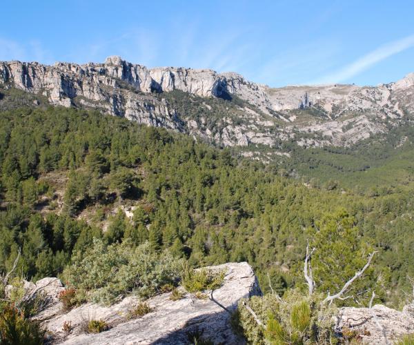 Tomb de la Carabassa