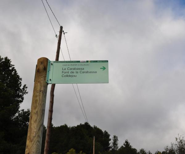 Camí antic de Pratdip a Colledjou