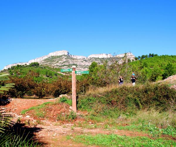Camí antic de Santa Marina