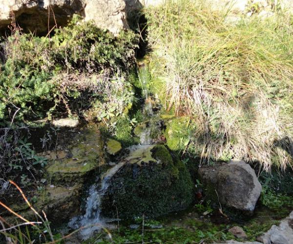 Tomb de les Fonts
