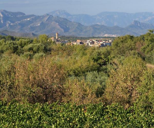 La Sierra de Almos