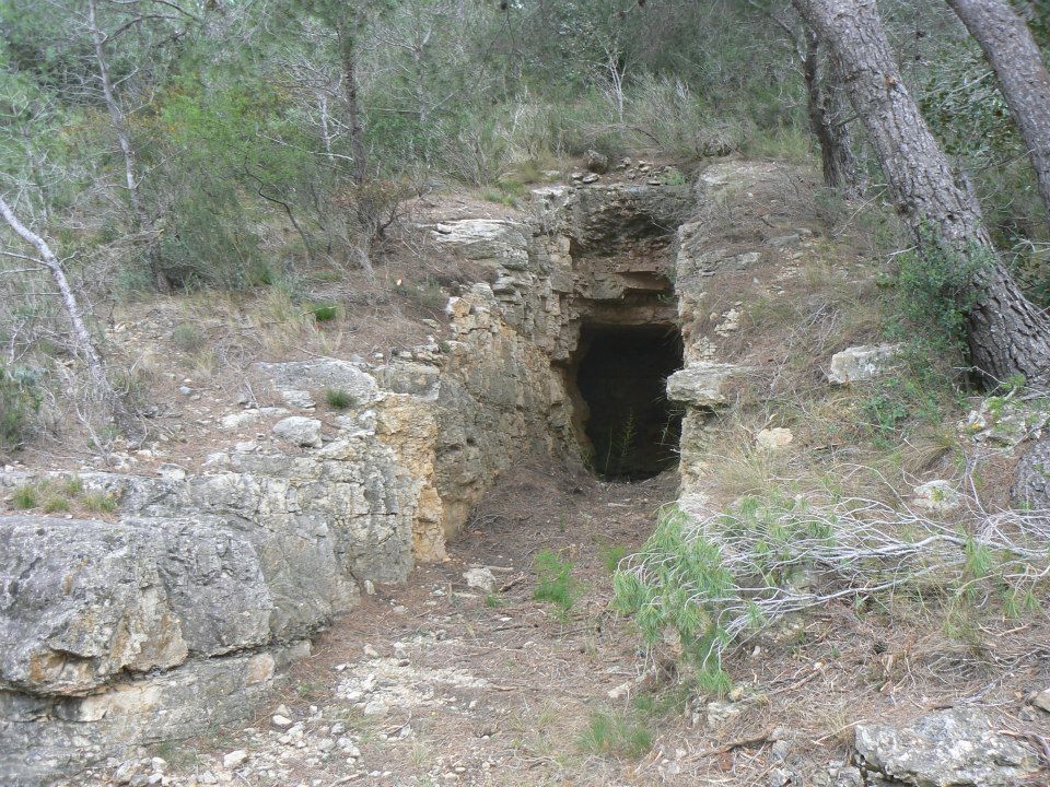 Saltum Història Viva