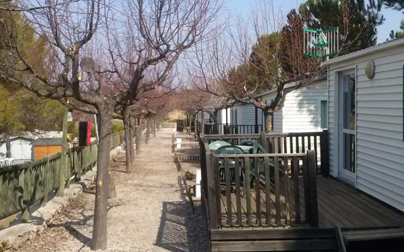 Camping Alberg Tivissa