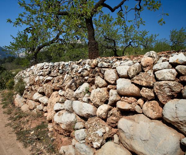 Els Senders del Dip - Circuit llarg