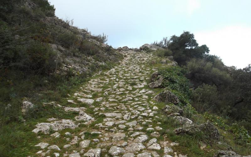 Caminos empedrados