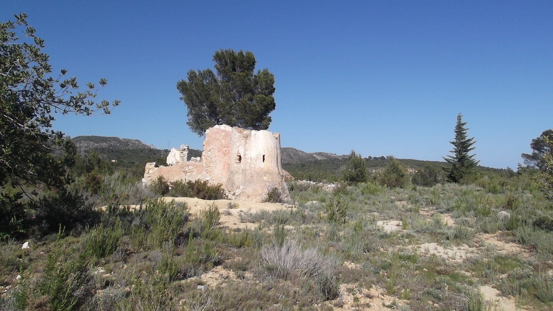 Coll de Balaguer, orígenes.