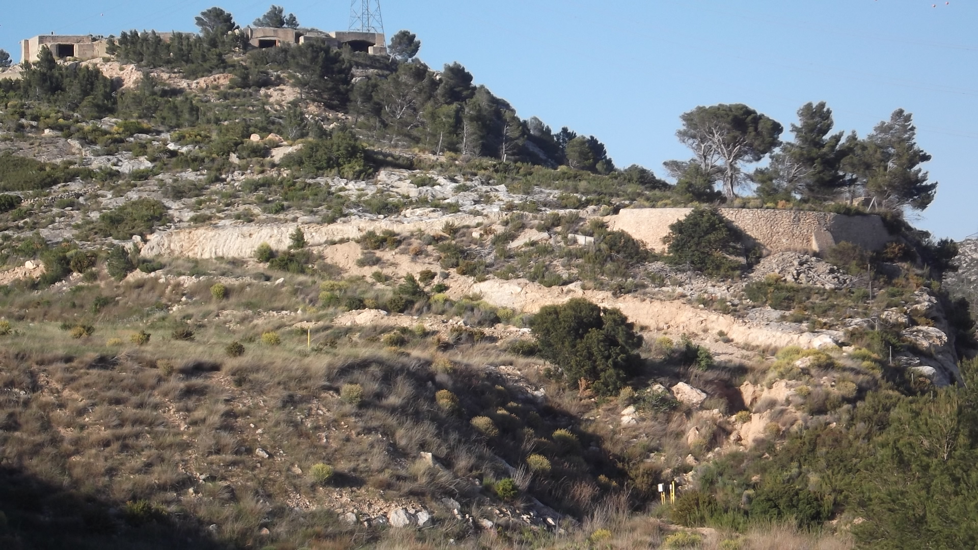 Coll de Balaguer, orígenes.