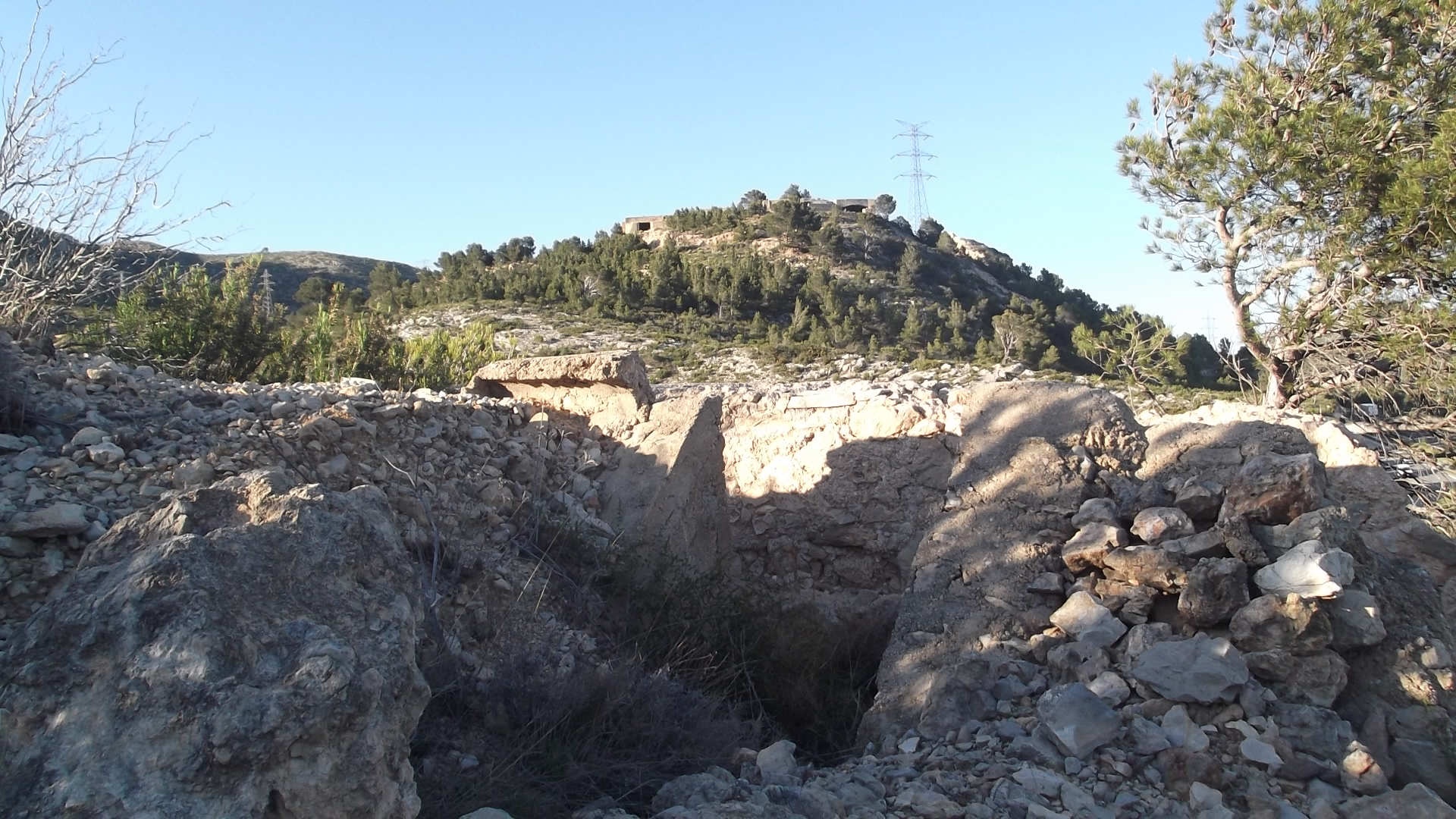 Coll de Balaguer, orígenes.