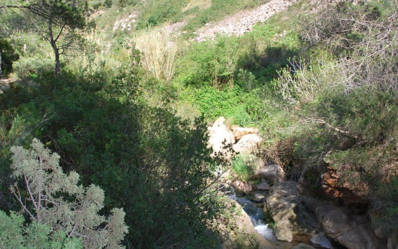 Tomb del Puig del Marquès