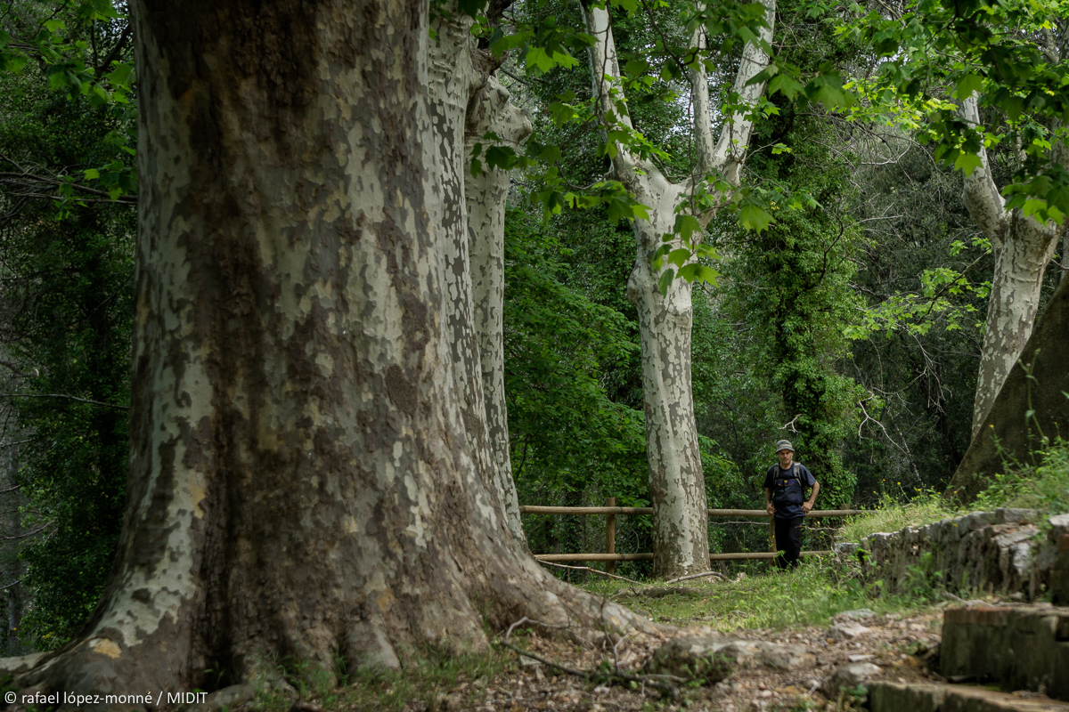 Camino de Mestral, ruta de senderismo por las Tierras de Mestral – 2 noches