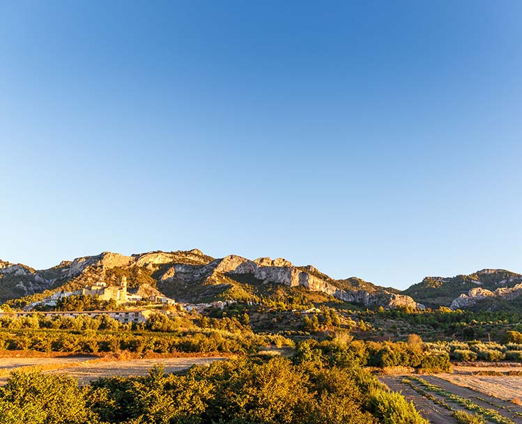 Montañas de Tivissa-Vandellòs