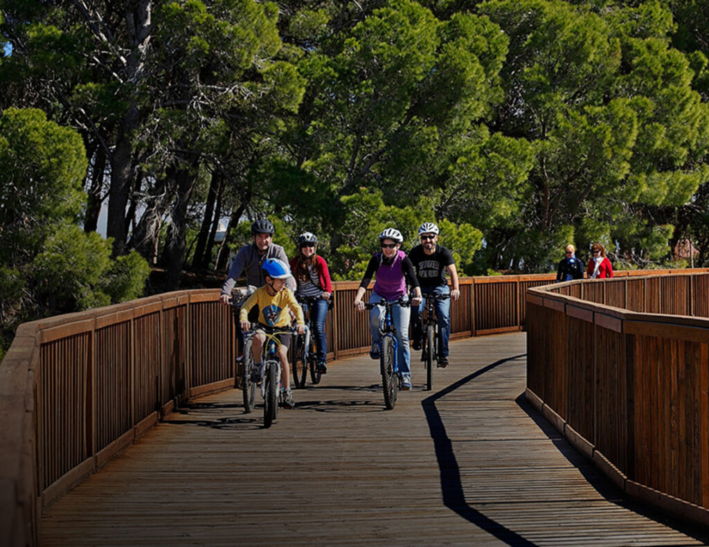 Bike land