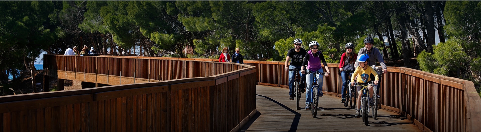 Bike Land